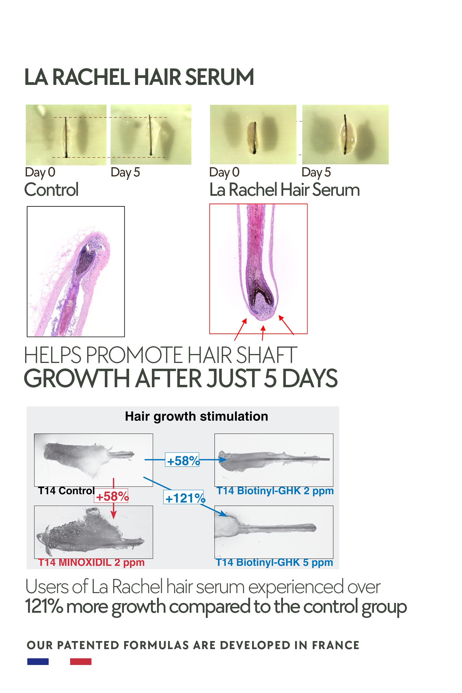 Hair Serum for Hair Growth & Loss Prevention - 2-in-1 Formula for Men and Women - Boosts Healthier Hair with Scientifically-Designed Treatment - Effective Hair Care Solution