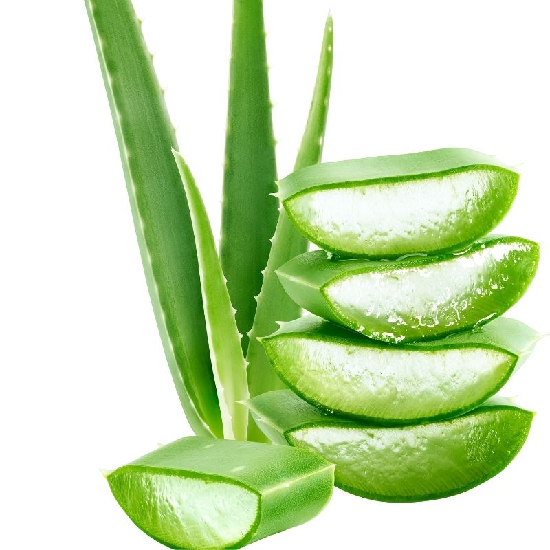 ALOE VERA GEL