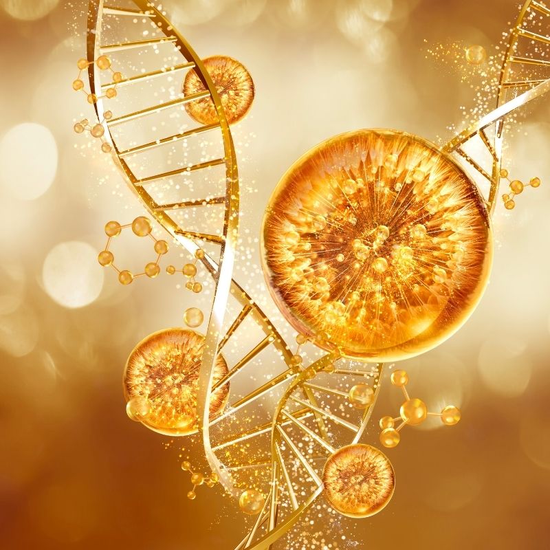LIPOSOMAL NIACINAMIDE