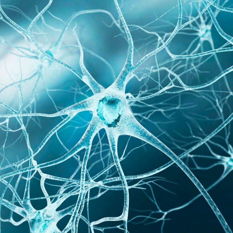 STEM CELL TECHNOLOGY